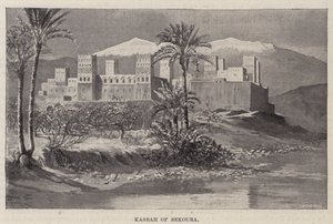 زيارة التافليه